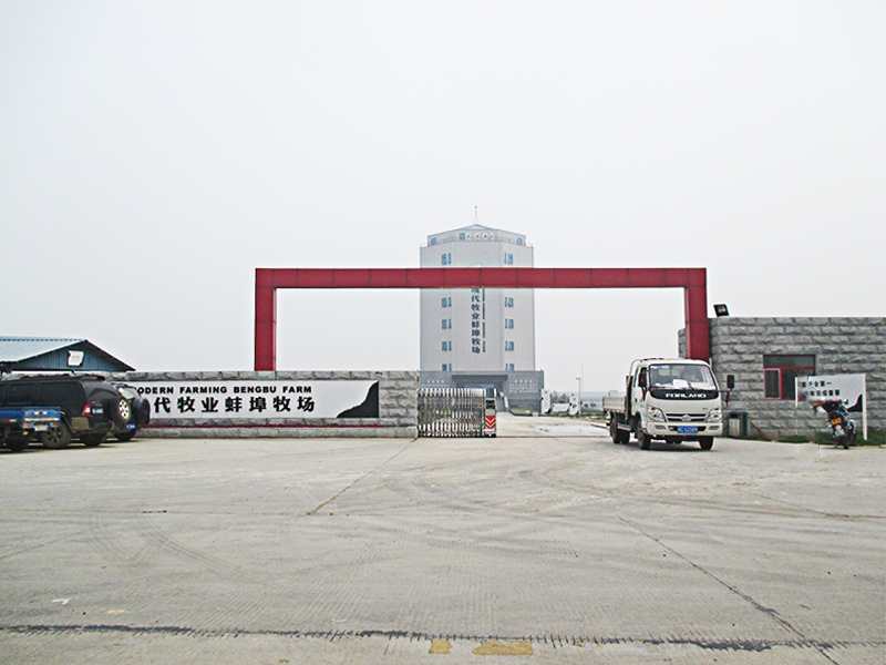 1622445763852341.png 解決方案-現(xiàn)代牧業(yè)蚌埠牧場(chǎng)1.png