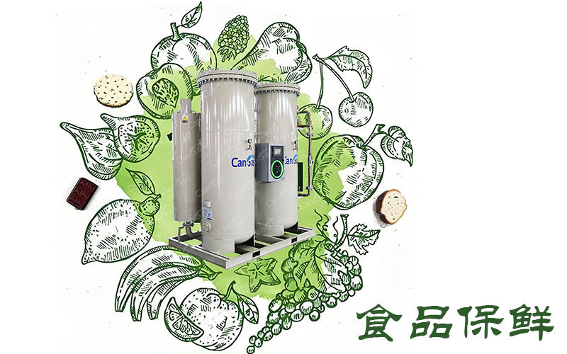 食品保鮮用PSA制氮機該怎么選.jpg