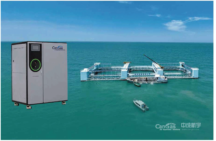 1729565531154085.gif 第35期(2024年第三期)_03.gif