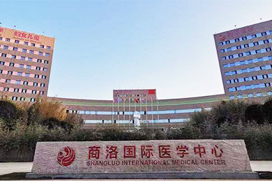 醫(yī)用氣體工程,醫(yī)用分子篩制氧系統(tǒng)