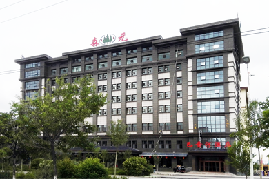 德令哈森元巴音河酒店富氧項目案例（海拔4305米）